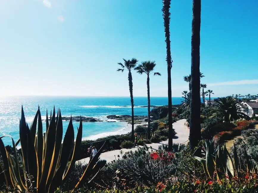 Elevate Los Angeles Community Life: HOA Management Companies Insights