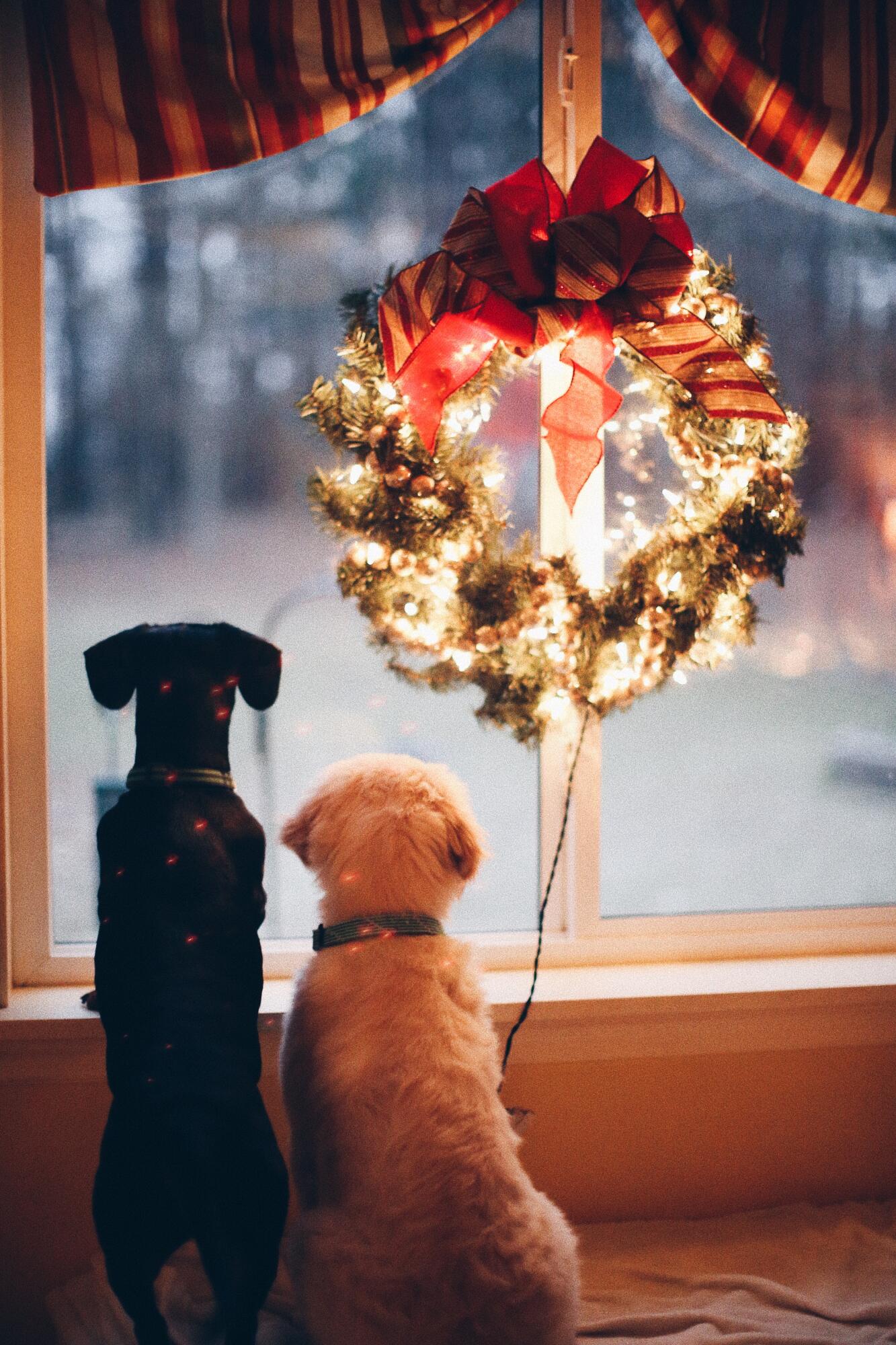 How to Get the Whole Community Involved in HOA Holiday Decorating