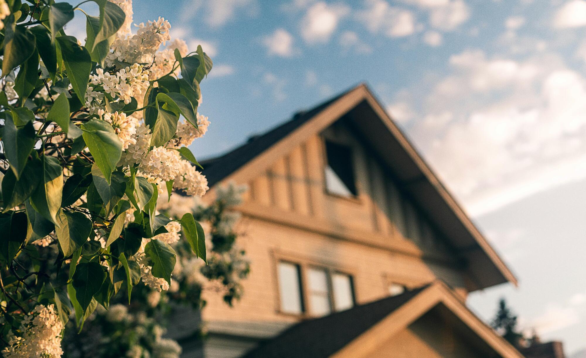 Understanding HOA Evictions in LA: What Homeowners Should Know